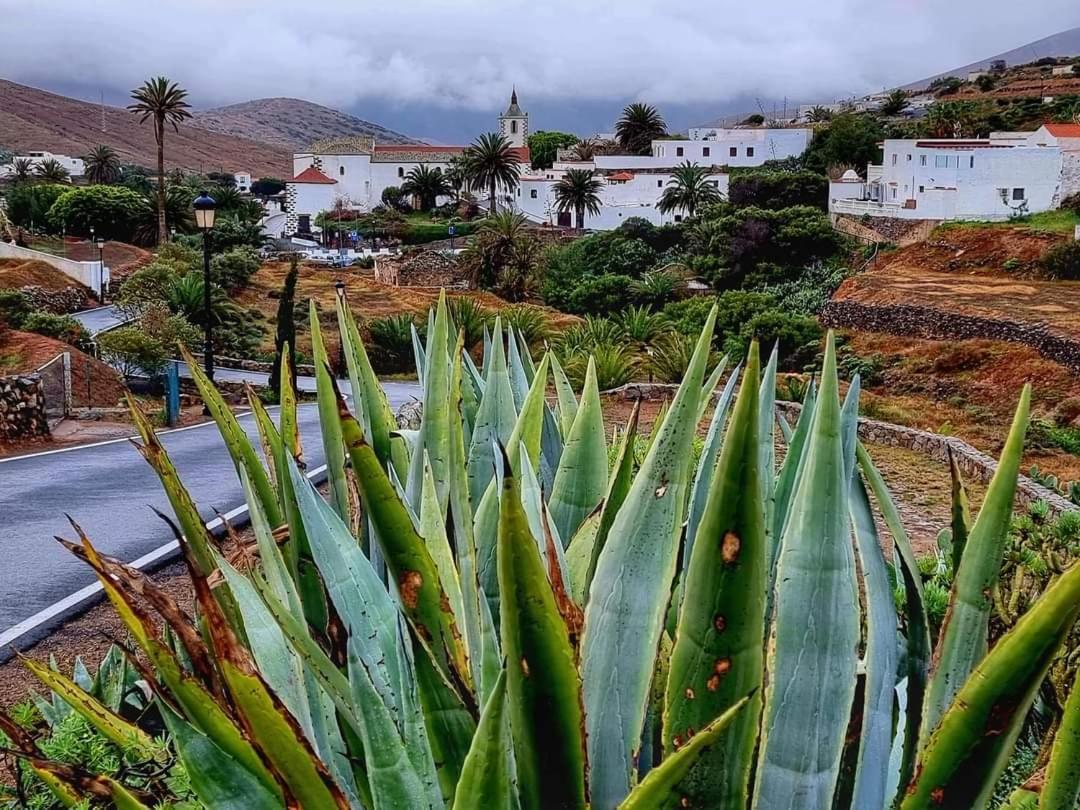 Apartamento Casa Del Mar - Playa Corralejo