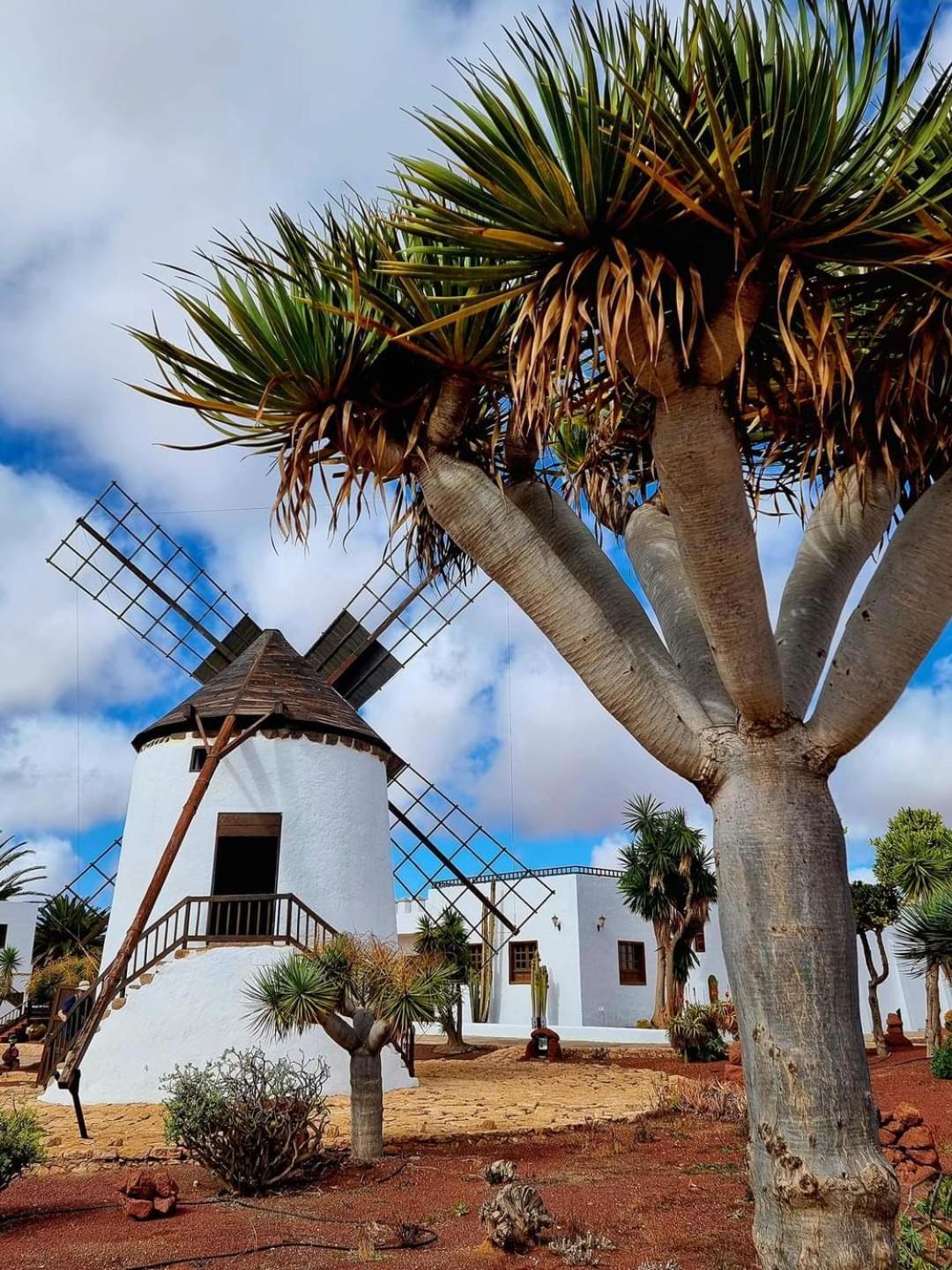 Casa Del Mar - Playa Corralejo